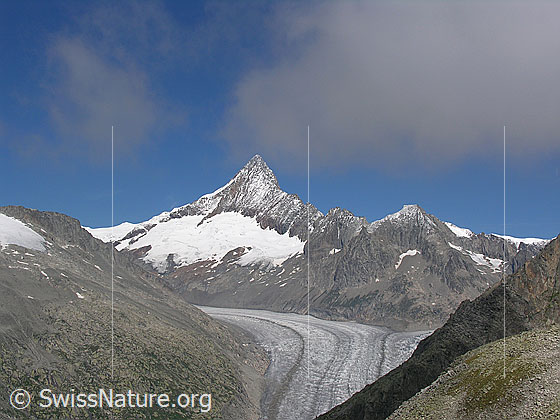 Foto: Blick vom Risihorn zum Finsteraarhorn und Finsteraarrothorn. Davor der Fieschergletscher.