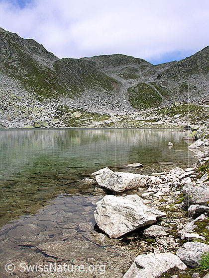 Foto: Unterhalb Risihorn am Ufer des Lengsees.