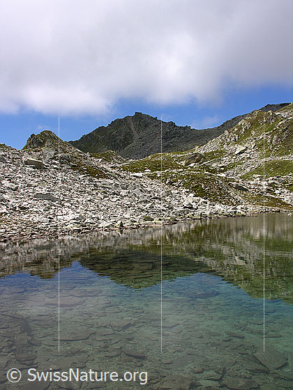 Foto: Spiegelung des Risihorns im Lengsee.