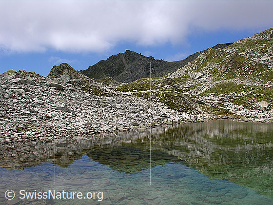 Foto: Spiegelung des Risihorns im Lengsee.
