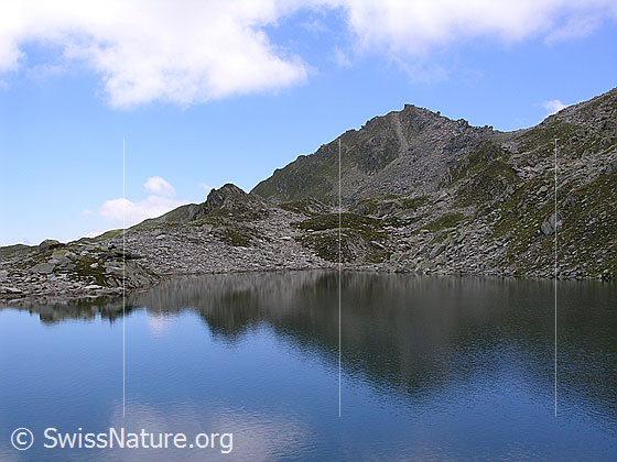 Foto: Spiegelung des Risihorns im Lengsee.