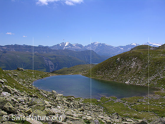 Foto: Am Mittelsee unterhalb des Risihorns. Blick Richtung Süden auf Schweifegrat, Scherbadung, Helsenhorn, Hillehorn und Monte Leone.