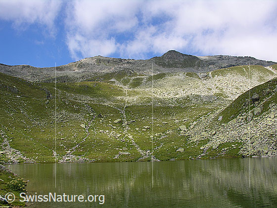 Foto: Blick über den Mittelsee unterhalb des Risihorns. Schwache Spiegelung.