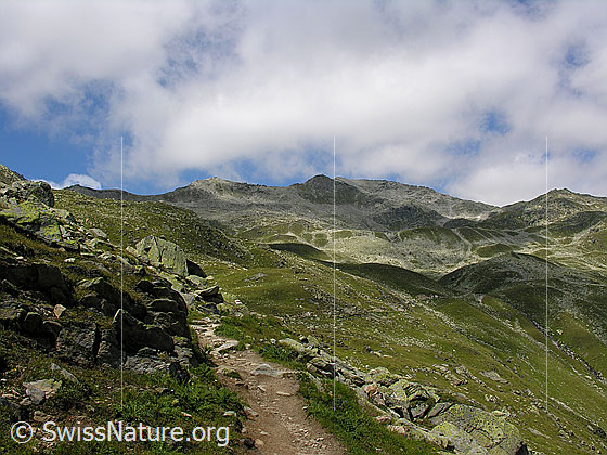 Foto: Auf dem Wanderweg zum Risihorn vorbei an Alpweiden und Geröllfeldern.