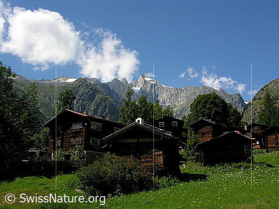Foto: Weiler Egga bei Bellwald mit Klein Wannenhorn und Distelgrat im Hintergrund.