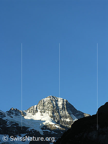 Foto: Blick vom Schilthorn zur Nordwand des Lauterbrunnen Breithorns.