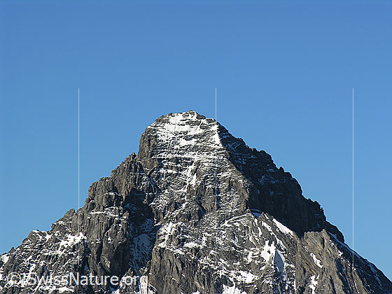 Foto: Blick vom Schilthorn zum Gipfel des Gspaltenhorns.