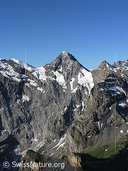 Foto: Blick vom Schilthorn zum Tschingelspitz, Gspaltenhorn und Bütlasse.