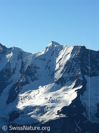 Foto: Blick vom Schilthorn zur Nordwand der Äbeni Flue und Stuefesteigletscher. Links davon das Gletscherjoch.