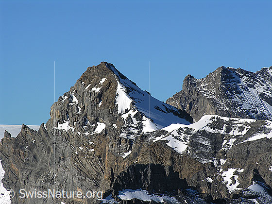 Foto: Blick vom Schilthorn zum Petersgrat, zur Bütlasse und auf den Grat zum Morgenhorn.