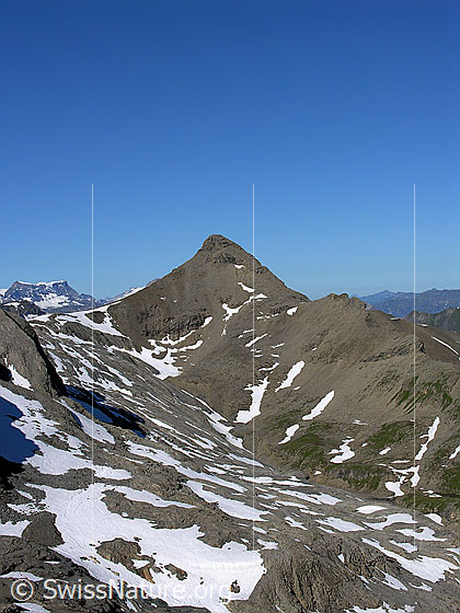 Foto: Im Abstieg vom Schilthorn etwas oberhalb des Übergangs Rote Härd. Blick zum Wild Andrist. Im Hintergrund der Wildstrubel.