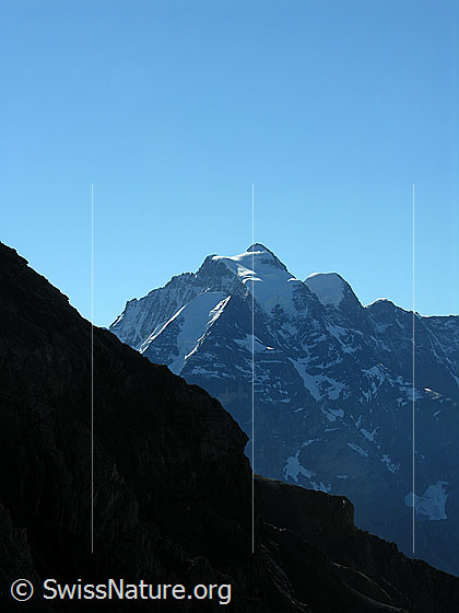 Foto: Im Abstieg vom Schilthorn etwas oberhalb des Übergangs Rote Härd. Blick zur Jungfrau.