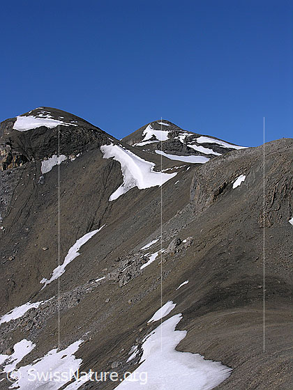 Foto: Blick vom Übergang Rote Härd zum Hundshorn.