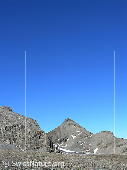 Foto: Blick vom Übergang Rote Härd zum Wild Andrist.