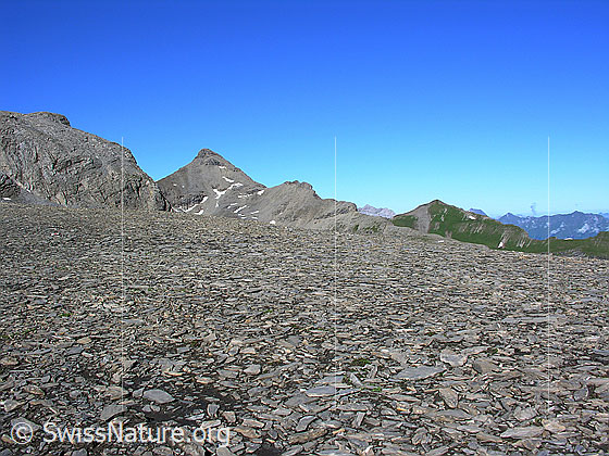 Foto: Blick über die kleinen Steinplatten im Übergang Rote Härd zum Wild Andrist und Zahm Andrist.