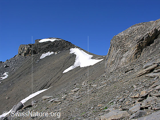 Foto: Felsköpfe, Steinplatten und Schneefelder zwischen Rote Härd und Hundshorn.