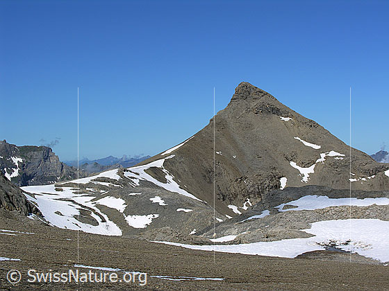 Foto: Im Aufstieg zum Hundshorn. Blick über karge Landschaft mit Schneefeldern zum Wild Andrist.