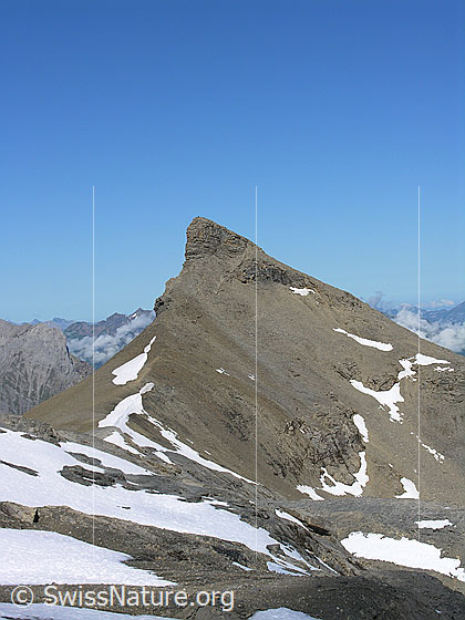 Foto: Im Aufstieg zum Hundshorn. Blick über Schneefelder zum Wild Andrist.