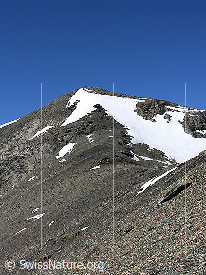 Foto: Blick über steiniges Gelände mit Schneefeld zum Hundshorn.