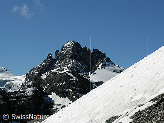 Foto: Im Aufstieg zum Hundshorn. Blick über ein Schneefeld zum Gspaltenhorn. Davor: Vorderi Bütlasse und Bütlasse.