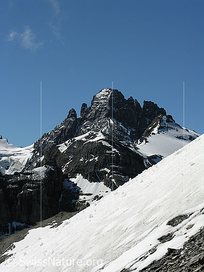 Foto: Im Aufstieg zum Hundshorn. Blick über ein Schneefeld zum Gspaltenhorn. Davor: Vorderi Bütlasse und Bütlasse.