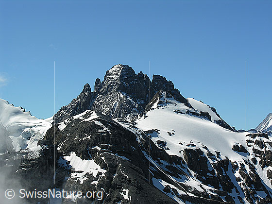 Foto: Blick vom Hundshorn zum Gspaltenhorn. Davor: Vorderi Bütlasse und Bütlasse, dazwischen der kleine Bütlassegletscher.