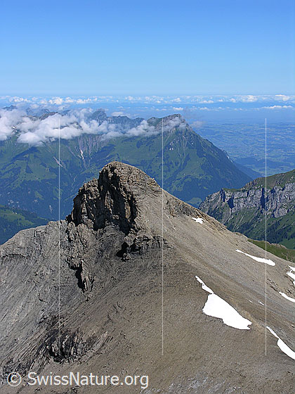 Foto: Blick vom Hundshorn zum Wild Andrist. Im Hintergrund ist der Niesen zu sehen.