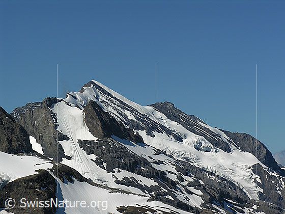 Foto: Blick vom Hundshorn zum Doldenhorn und Doldenhorngletscher.