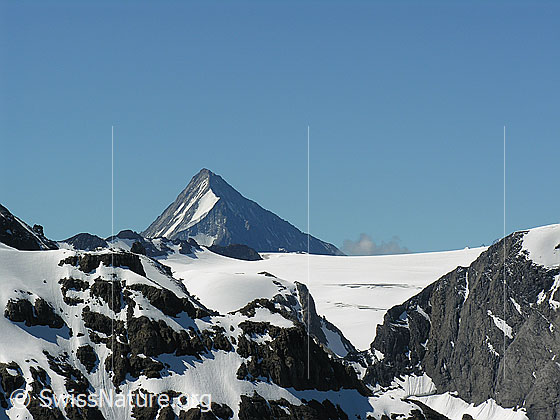Foto: Blick vom Hundshorn zum Bietschhorn und auf den Petersgrat.