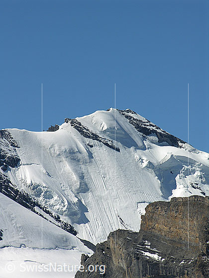 Foto: Blick vom Hundshorn auf die Nordwand des Blüemlisalphorns mit Hängegletscher. 
Gletscher: Blüemlisalpgletscher.