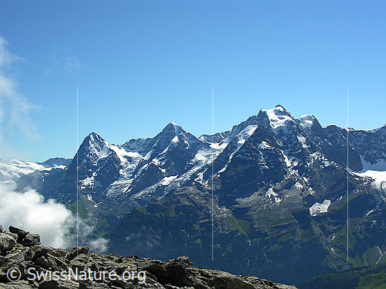 Foto: Blick vom Hundshorn zu Eiger, Mönch und Jungfrau.