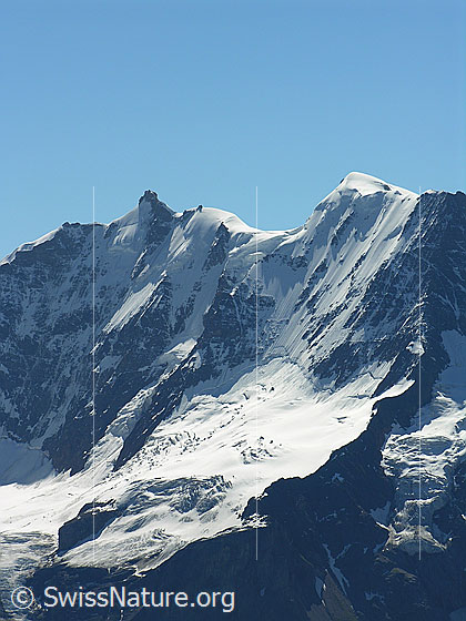 Foto: Blick vom Hundshorn zu Gletscherhorn, Gletscherjoch und Äbeni Flue mit imposanter Nordwand. Darunter der Stuefesteigletscher und eine Gletscherzunge des Breitlouwenengletschers.