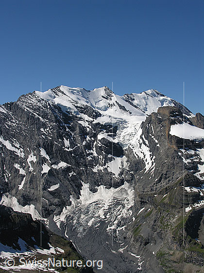 Foto: Blick vom Hundshorn zur Blüemlisalp mit Morgenhorn, Wyssi Frau, Blüemlisalphorn. Davor die Wildi Frau und der Gamchigletscher.