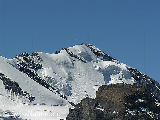Foto: Blick vom Hundshorn auf die Nordwand des Blüemlisalphorns mit Hängegletscher. Im Vordergrund: Wildi Frau.