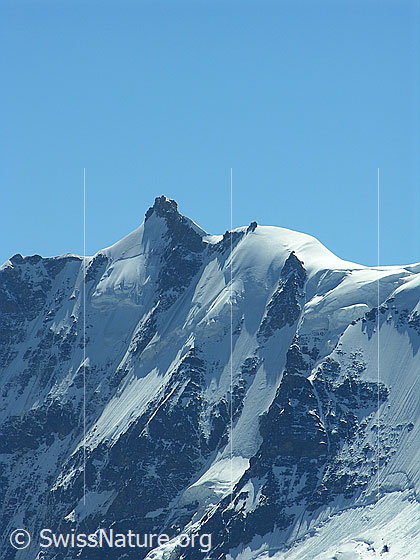 Foto: Blick vom Hundshorn zum Gletscherhorn und Gletscherjoch.