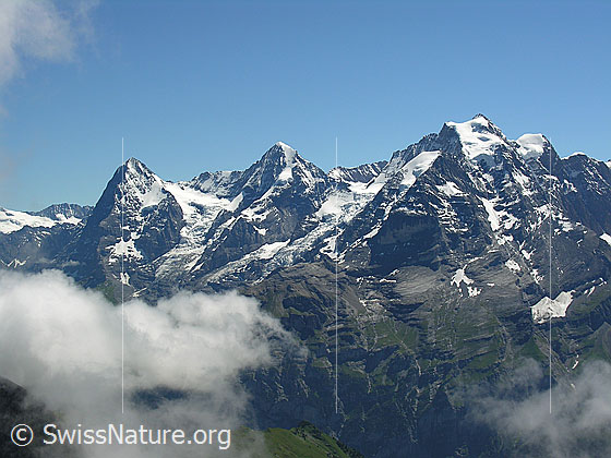 Foto: Blick vom Hundshorn zu Eiger, Mönch und Jungfrau mit aufsteigenden Quellwolken.
