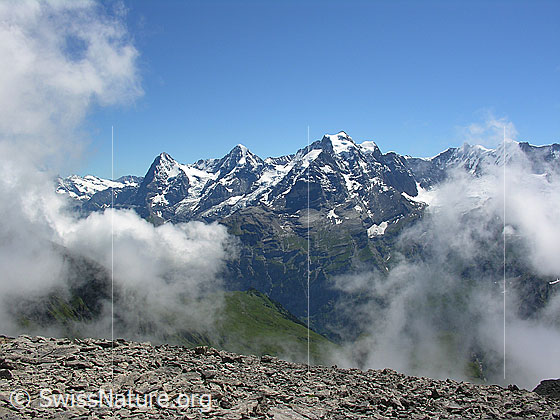Foto: Blick vom Hundshorn zu Eiger, Mönch und Jungfrau mit aufsteigenden Quellwolken und kleinen Steinplatten im Vordergrund.