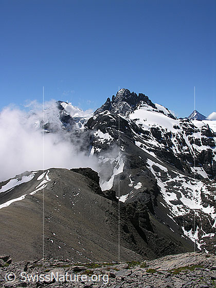 Foto: Blick vom Hundshorn über die Hundsflue mit Quellwolke, Sefinenfurgge, Sefinenhorn, Vorderi Bütlasse, und Büttlasse zum Gspaltenhorn. Daneben sind Bietschorn und Petersgrat erkennbar.