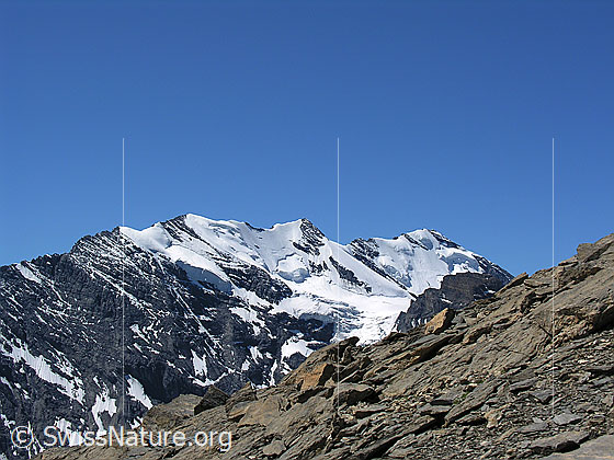 Foto: Im Abstieg vom Hundshorn. Blick zur Blüemlisalp mit Morgenhorn, Wyssi Frau und Blüemlisalphorn. Im Vordergrund kleinere und grössere Felsplatten.