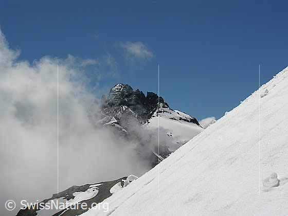 Foto: Im Abstieg über ein Schneefeld am Hundshorn. Blick zu Gspaltenhorn und Bütlasse.
