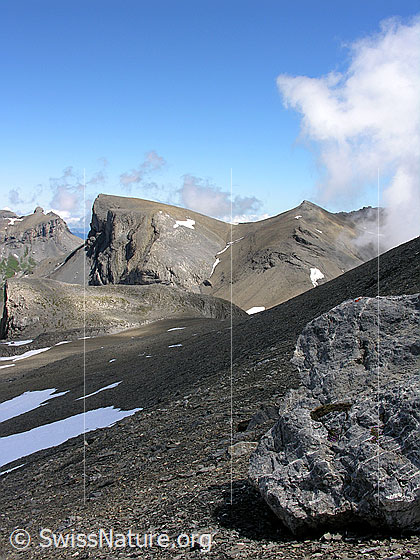 Foto: Im Abstieg vom Hundshorn. Blick zur Chilchflue (Schilthorn). Vordergrund: Felsblock in kargem Gelände mit feinem Geröll.