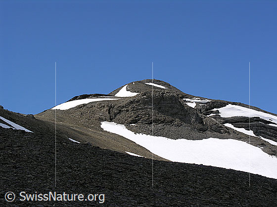Foto: Blick über karge Landschaft mit feinem Geröll und Schneefeldern zum Hundshorn.