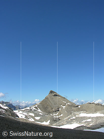 Foto: Im Abstieg vom Hundshorn. Blick über karge Landschaft mit Schneefeldern zum Wild Andrist.