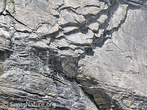 Foto: Felswand mit interessanter Felsschichtung.