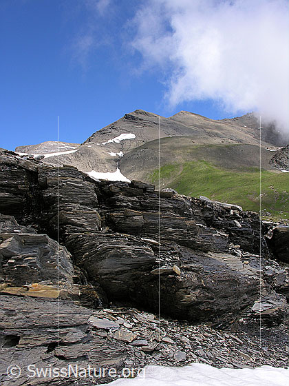 Foto: Im Abstieg vom Hundshorn. Felsstufe mit geschichteten Felsplatten. Im Hintergrund ist ein Ausläufer des Schilthorns zu sehen.