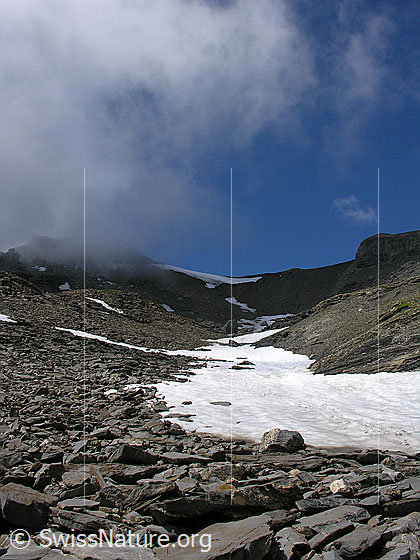Foto: Im Abstieg vom Hundshorn. Blick über Geröllhalde mit Felsplatten und Schneefeld Richtung Rote Härd. Es bilden sich Quellwolken.