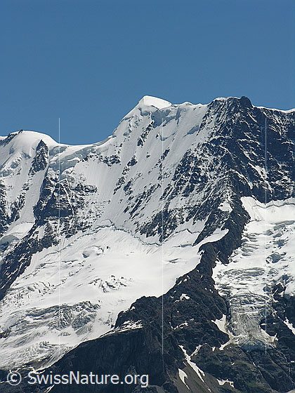 Foto: Gletscherjoch, Äbeni Flue (Nordwand) und Stuefesteigletscher.