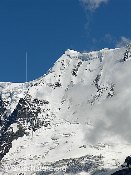 Foto: Gletscherjoch, Äbeni Flue Nordwand und Stuefesteigletscher.