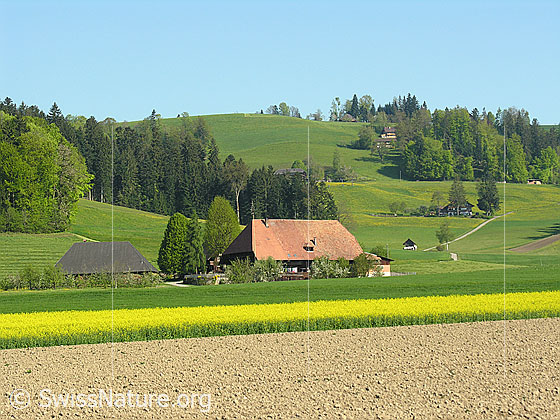Foto: Acker, Rapsfeld und Bauernhof in einer Ebene. Dahinter Hügellandschaft und Wälder.