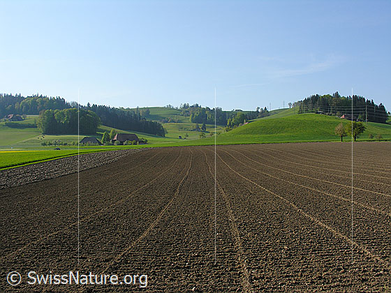 Foto: Angesäter Acker, Kulturland, Bauernhöfe und Emmentaler Hügellandschaft.